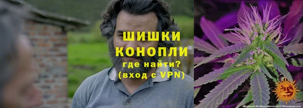 шишки Богородск