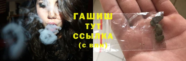 шишки Богородск