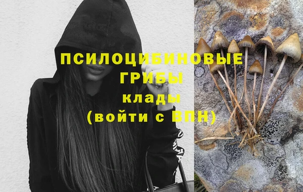 мяу мяу мука Богданович