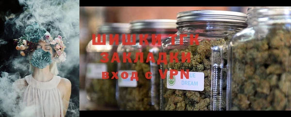 шишки Богородск