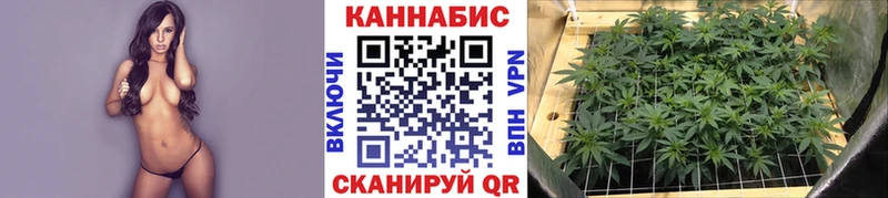 блэк спрут   Кизилюрт  Конопля гибрид 